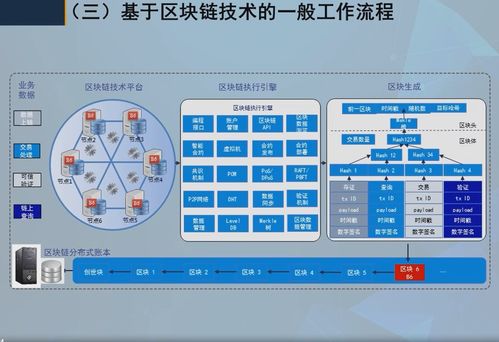 软件与信息服务赋能 区块链技术驱动产业创新与发展的新篇章