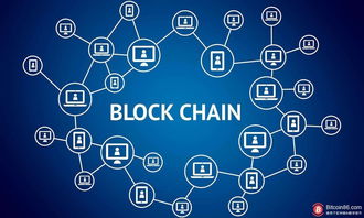 区块链技术重塑农业与食品业 软件创新驱动透明与信任